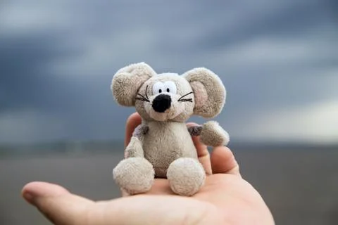 Teddy mouse Stock-Fotos