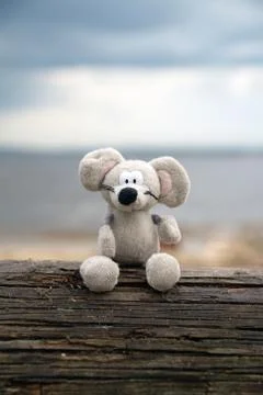 Teddy mouse Stock-Fotos