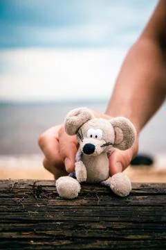 Teddy mouse Stock Photos