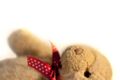 Teddy Foto stock