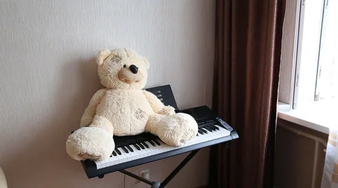 Teddy on piano Stock Footage 52090731