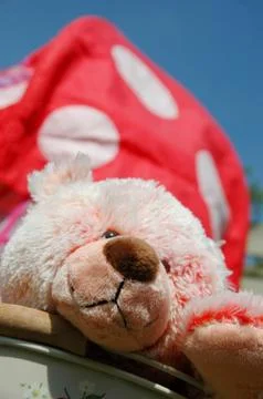 Teddybear Stock Photos
