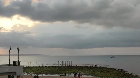 Tedy's beach 스톡 동영상 213775413