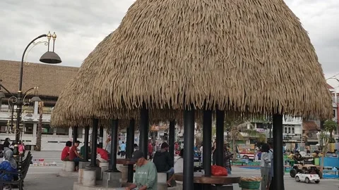 Tedy's beach 스톡 동영상 213776468