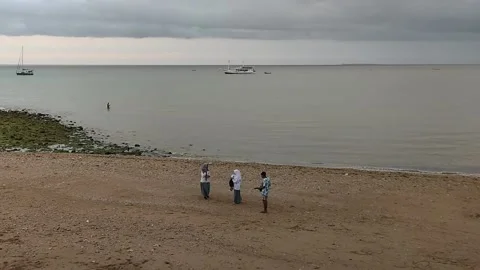 Tedy's beach 스톡 동영상 213776977