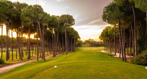 Tee box area at golf course at sunset with beautiful sky. Scenic panoramic view Stock Photos