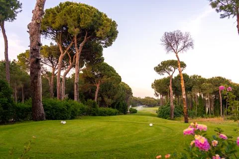 Tee box area at golf course at sunset with beautiful sky. Scenic panoramic view Stock Photos