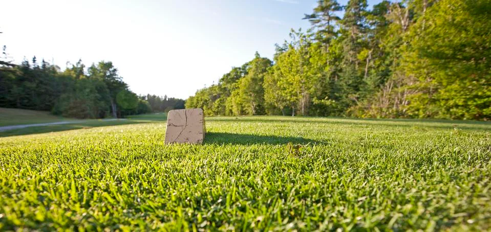 Tee box Stock Photos