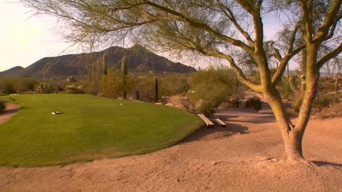 Tee box with trees shrubs and cactus golf course Video stock 125276704
