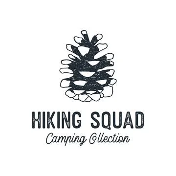 Tee graphic with coniferous cone Illustrazione stock