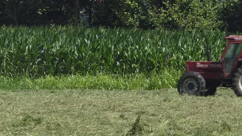 Teeder in action in field Stock-Footage 113569317