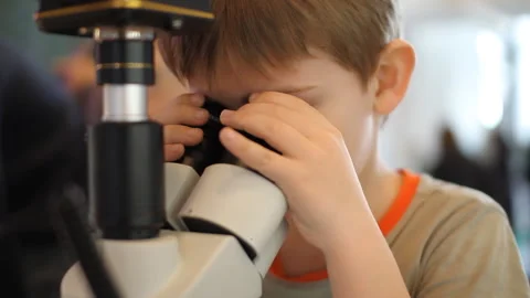 Teen boy looking through a microscope at the exhibition of insects Stock Footage 108743519