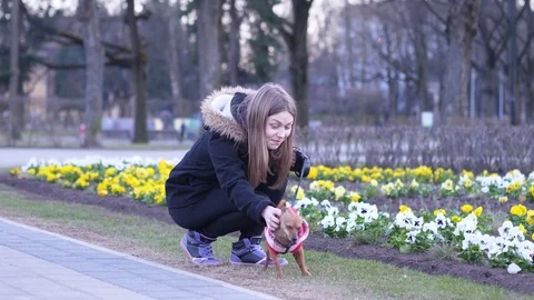 Teen girl and a little angry terrier playing in a park. 60 to 24fps Stock Footage