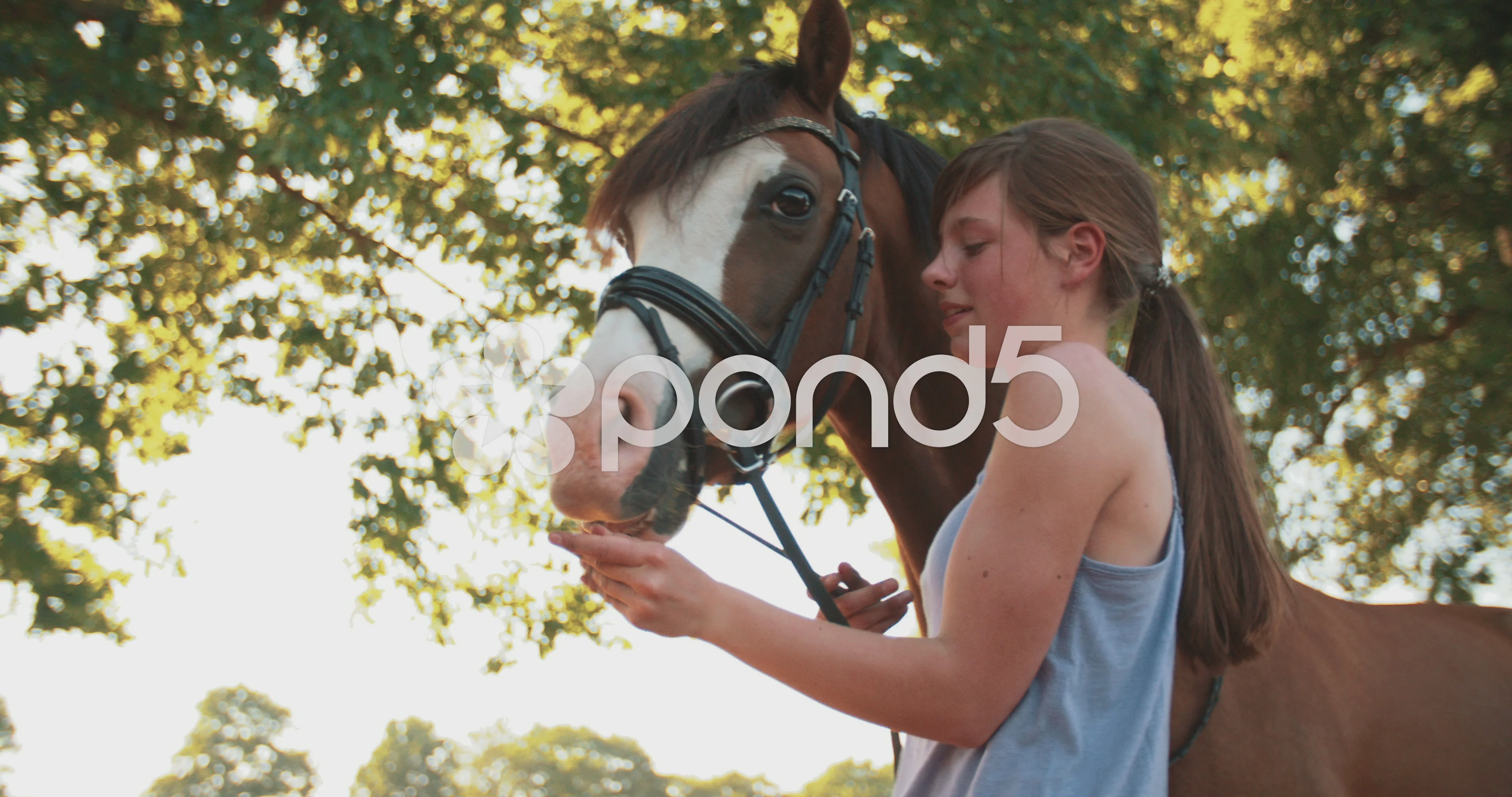 woman giving it to a horse