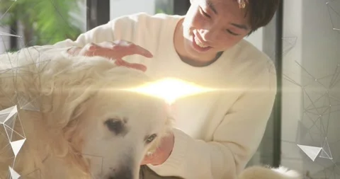 Teen leaning touching dog muzzle holding stroking dogs bonding triangle overlays Stock-Footage 330917796