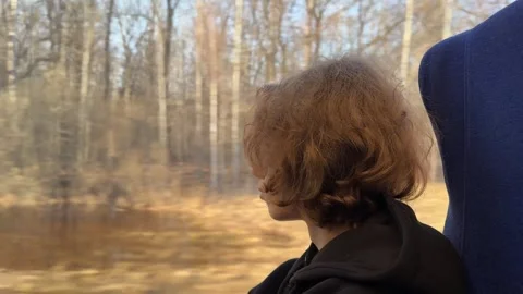 Teen Looking Through Train Window During Journey Footage Stock Footage 333916366