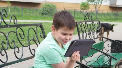 Teenage Boy On Park Bench Using Laptop And Digital Tablet chatting 库存影片 154817897