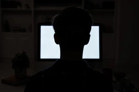 Teenage boy using computer at night, back view. Internet addiction Stock Photos