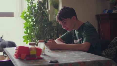Teenage Boy Using Smartphone at Home Sitting at Table Stock Footage 311567331