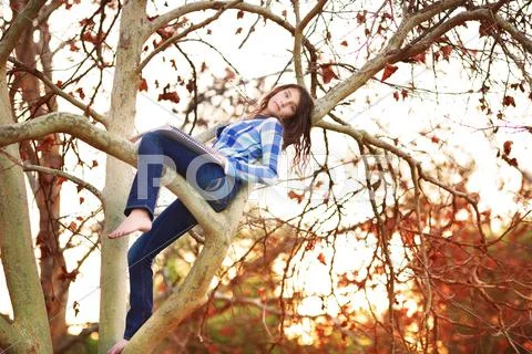 Teenage girl sitting in a tree with drawing pad Stock Photos