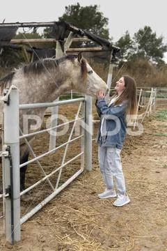 Teenage girl touching a horse in a stable. Stock Photos