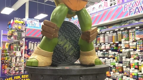 Teenage Mutant Ninja Turtle Statue in a Retail Store Stock Footage 136961153