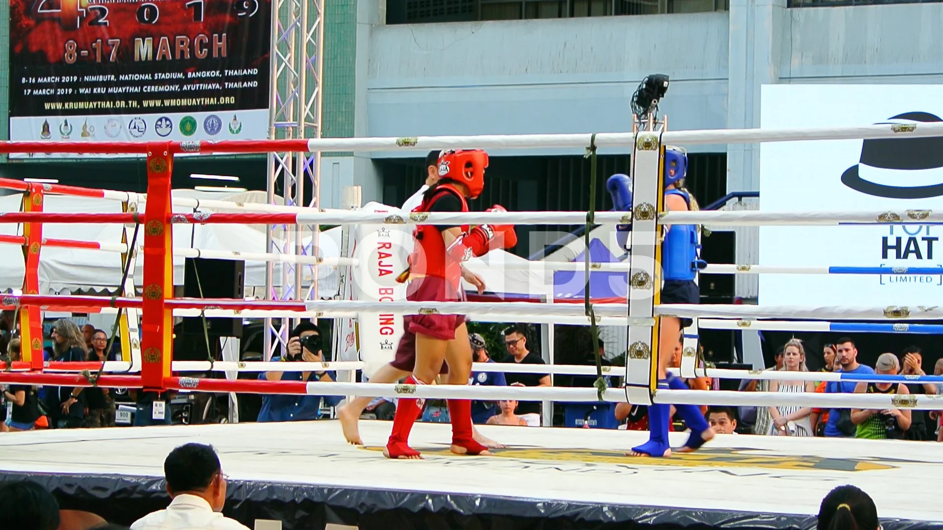 Teenager girl kick boxing fighter fighti..