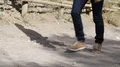 Teenager going up hilly ground road with shadow cast aside, male legs walking HD Footage