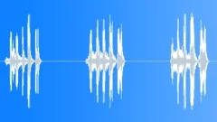 Teenager laughters short Sound Effect