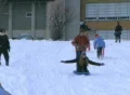 Teenagers Sled Riding SD Footage