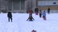 Teenagers Sled Riding HD Footage
