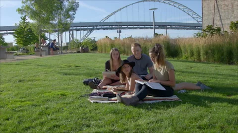 Teenagers studying Stock Footage 53555613