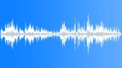 TeenageWalla_CDStoreSound Effect
