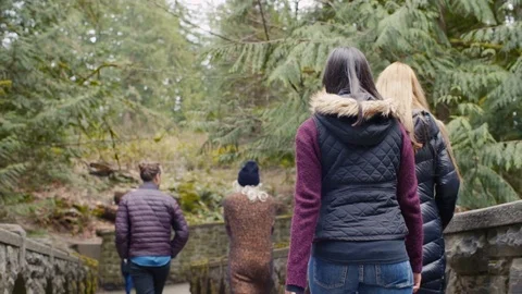 Teens walk across Bridge in Whatcom Falls Park - Northwest Forest Stock Footage 87533359