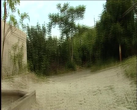 Teeter Stock Footage 944282