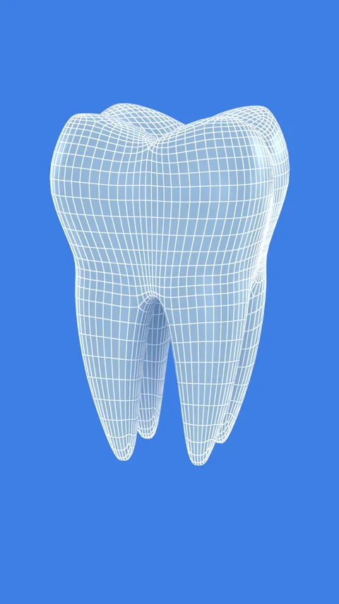Teeth 3D model. 3D Animation Stock Footage 314452295