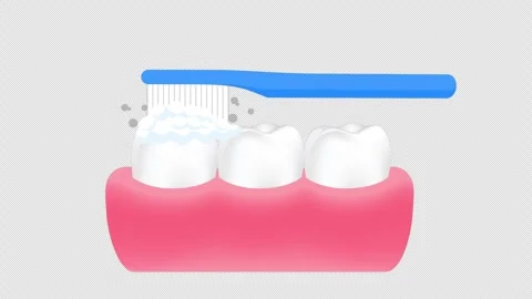 Teeth brushing, cleaning process. Animation of oral hygiene. Stock Footage 332415098