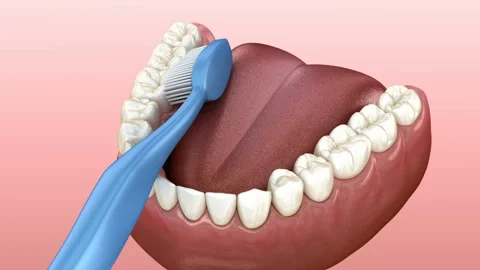 Teeth brushing, cleaning process Stock Footage 116233792
