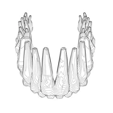 Teeth contour. Hand drawn different types of human tooth collection. Dentist Stock Illustration