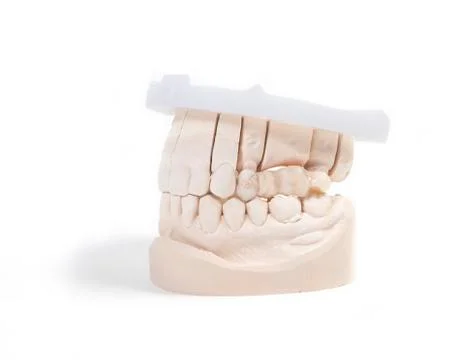 Teeth denture Stock Photos