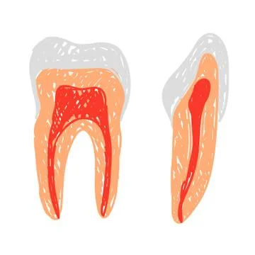 Teeth doodle Stock Illustration