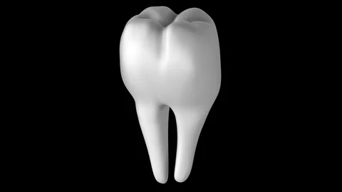 Teeth Stock-Footage 122797530