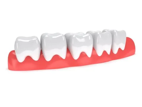 Teeth on gingiva isolated on white back. Stock Illustration