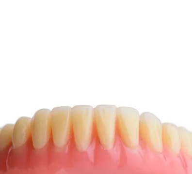 Teeth gum model with copy space. Isolated on white background. Stock Photos