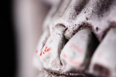 The teeth of the human skull statue close up Stock Photos