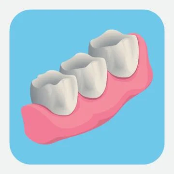 Teeth Stock-Illustration