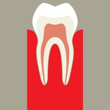 Teeth Illustrazione stock