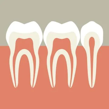 Teeth Stock Illustration