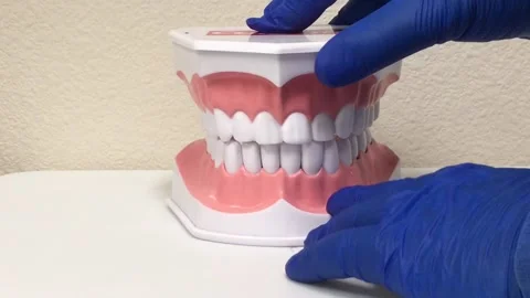 Teeth model Stock-Footage 134859978