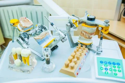 Teeth molds with basic dental tools on the working surface Stock Photos